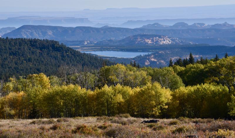 The view from the Larb Hollow Overlook is considered the best along the entire road, and is frequented by photographers and artists. RON MACARTHUR PHOTOS